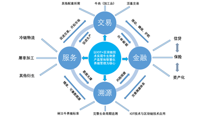 牛票科技集團(tuán)電商“新農(nóng)人”培育孵化基地正式掛牌“百城千企”智播基地，引領(lǐng)企業(yè)供應(yīng)鏈管理信息咨詢服務(wù)新篇章